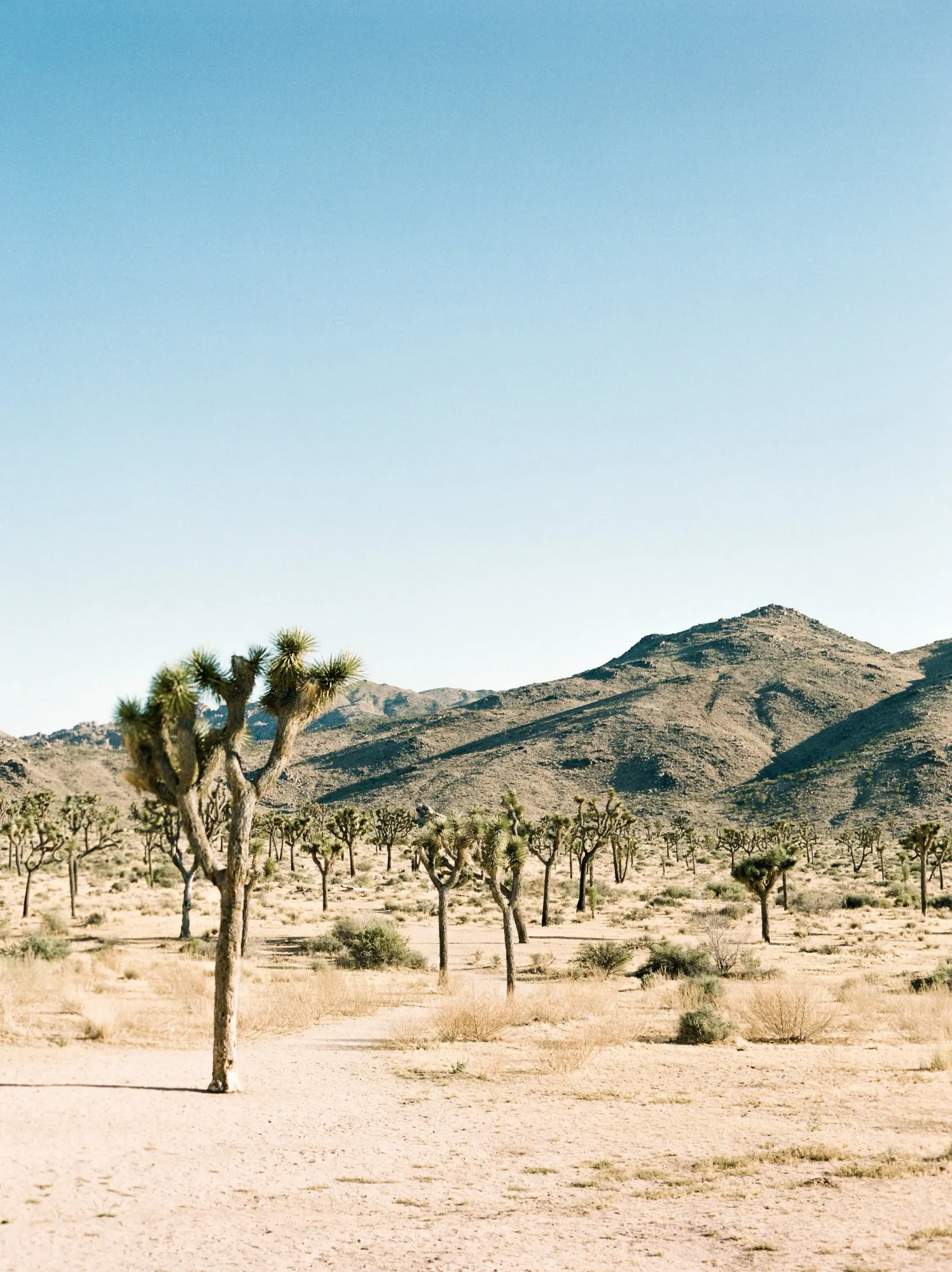 102032010012-2.jpg
