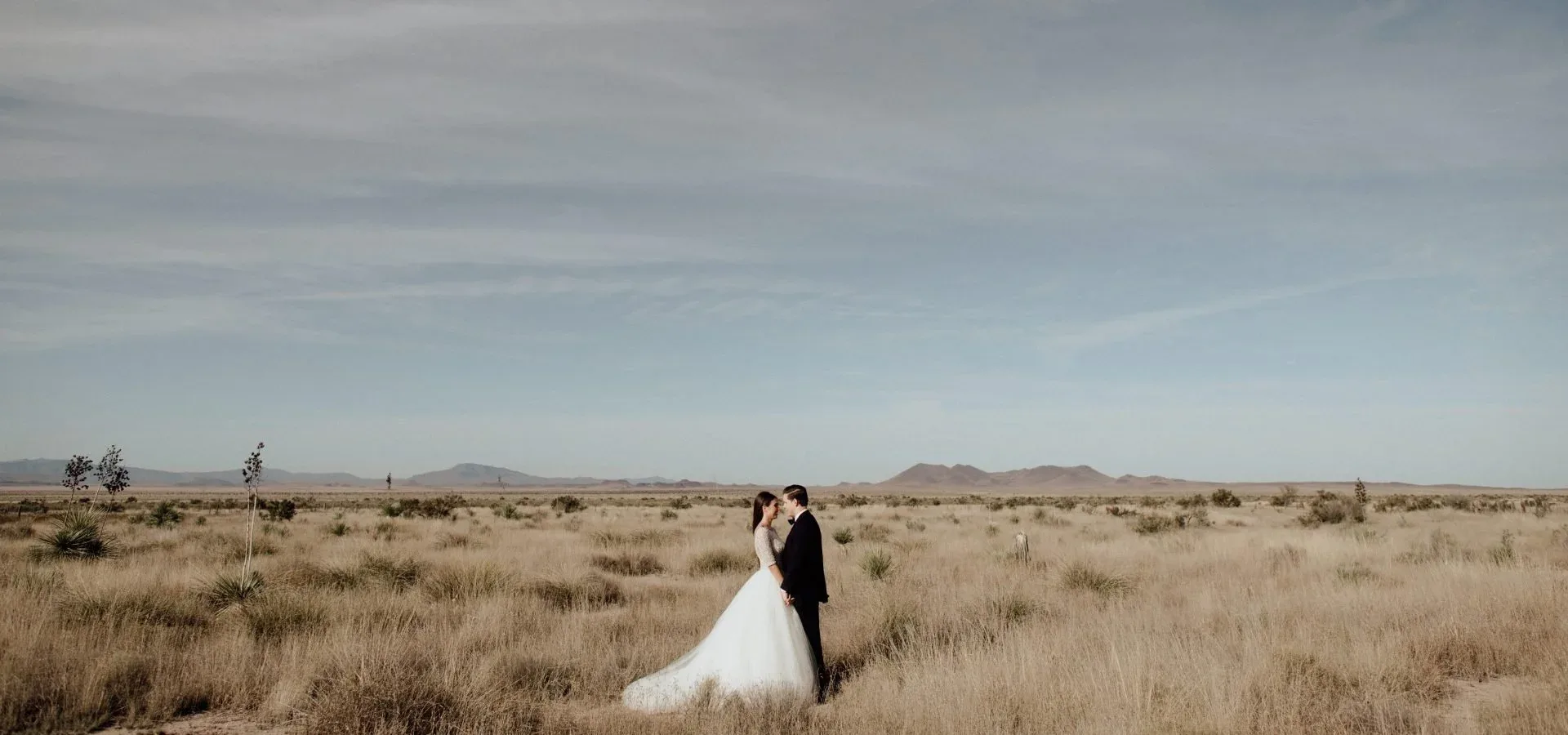 Stephanie + Michael — Cohen House Wedding at Rice