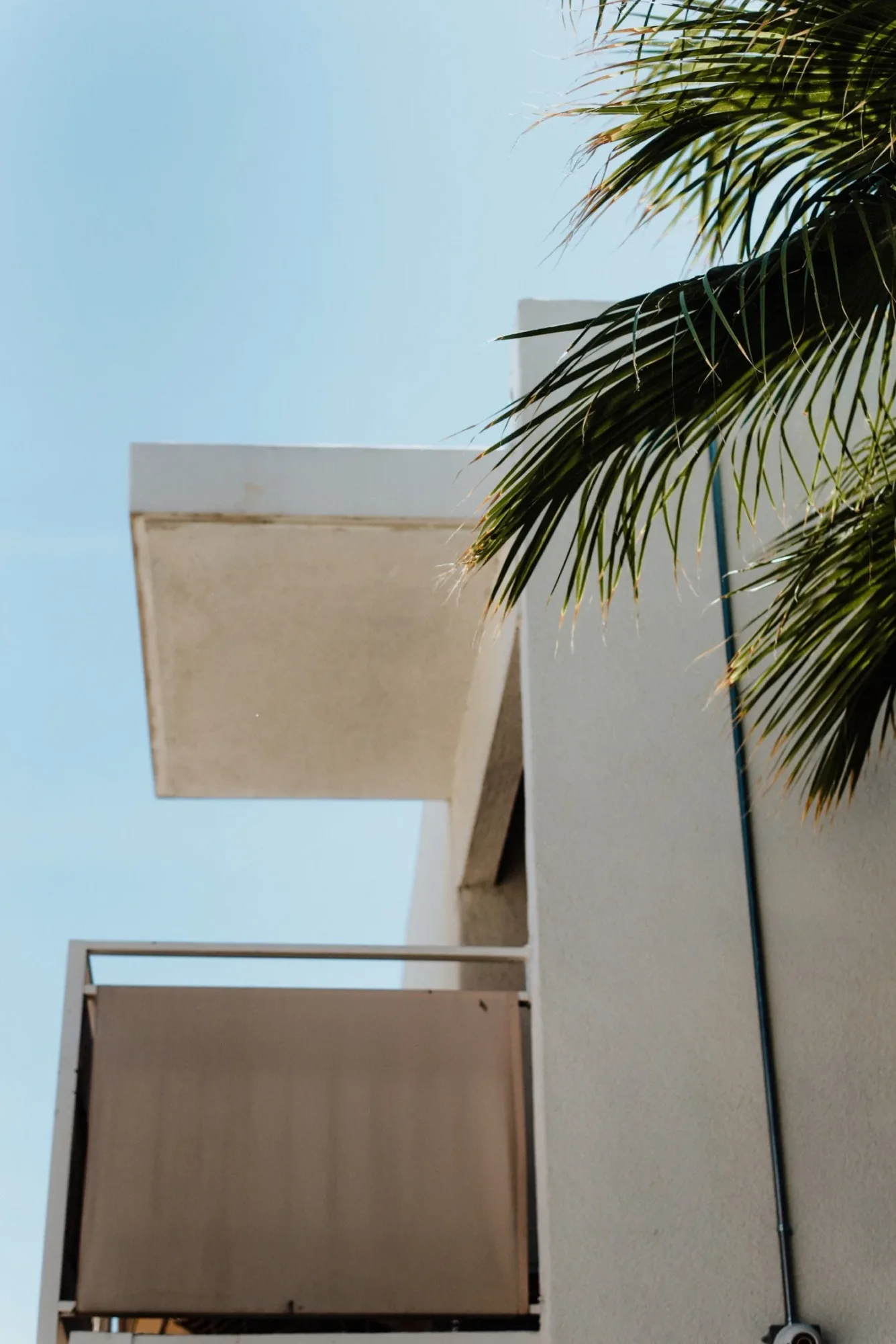 Stephanie + Michael — Cohen House Wedding at Rice — 11