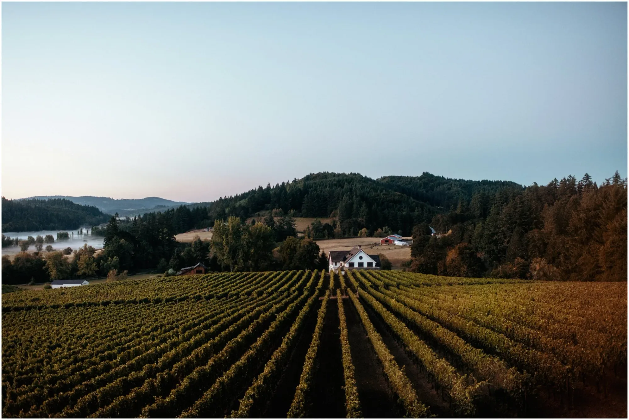Honeymoon to Willamette Valley & the Oregon Coast — 2