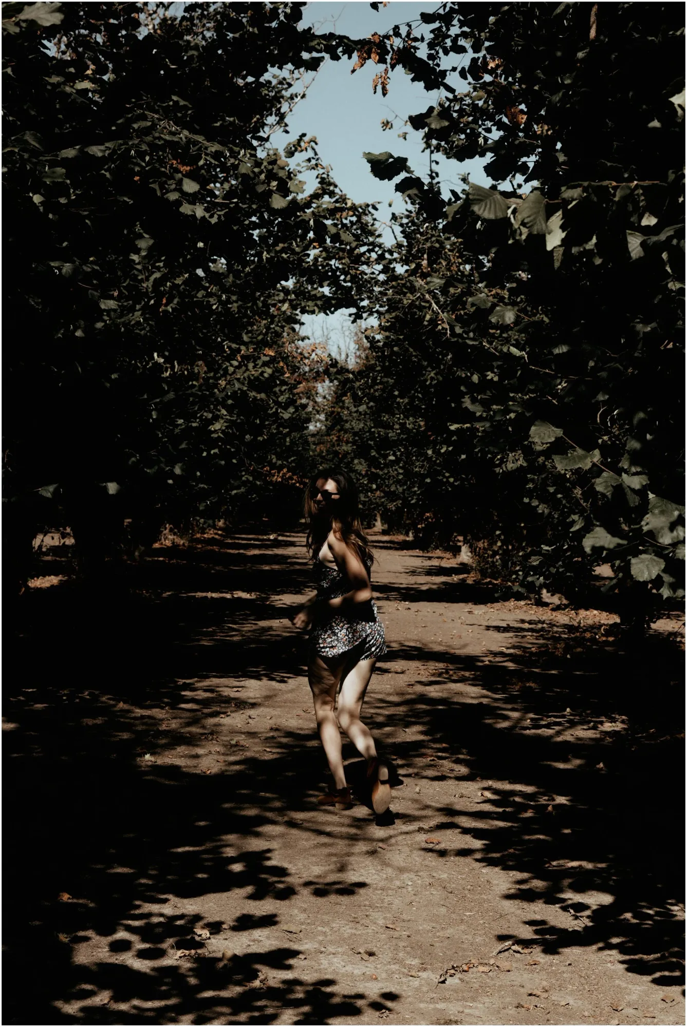 Honeymoon to Willamette Valley & the Oregon Coast — 4