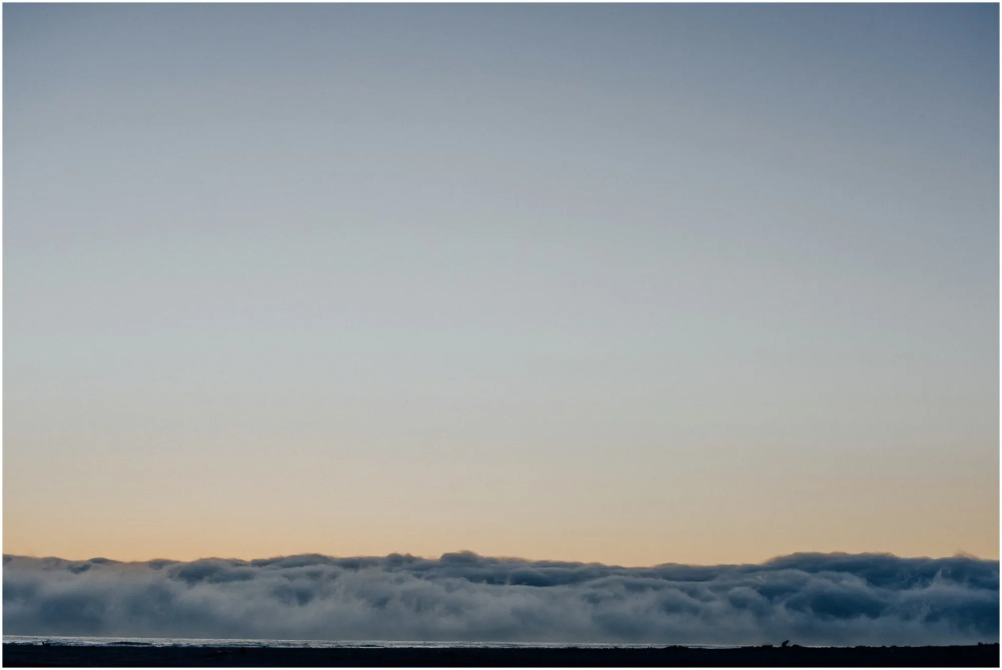Honeymoon to Willamette Valley & the Oregon Coast — 14