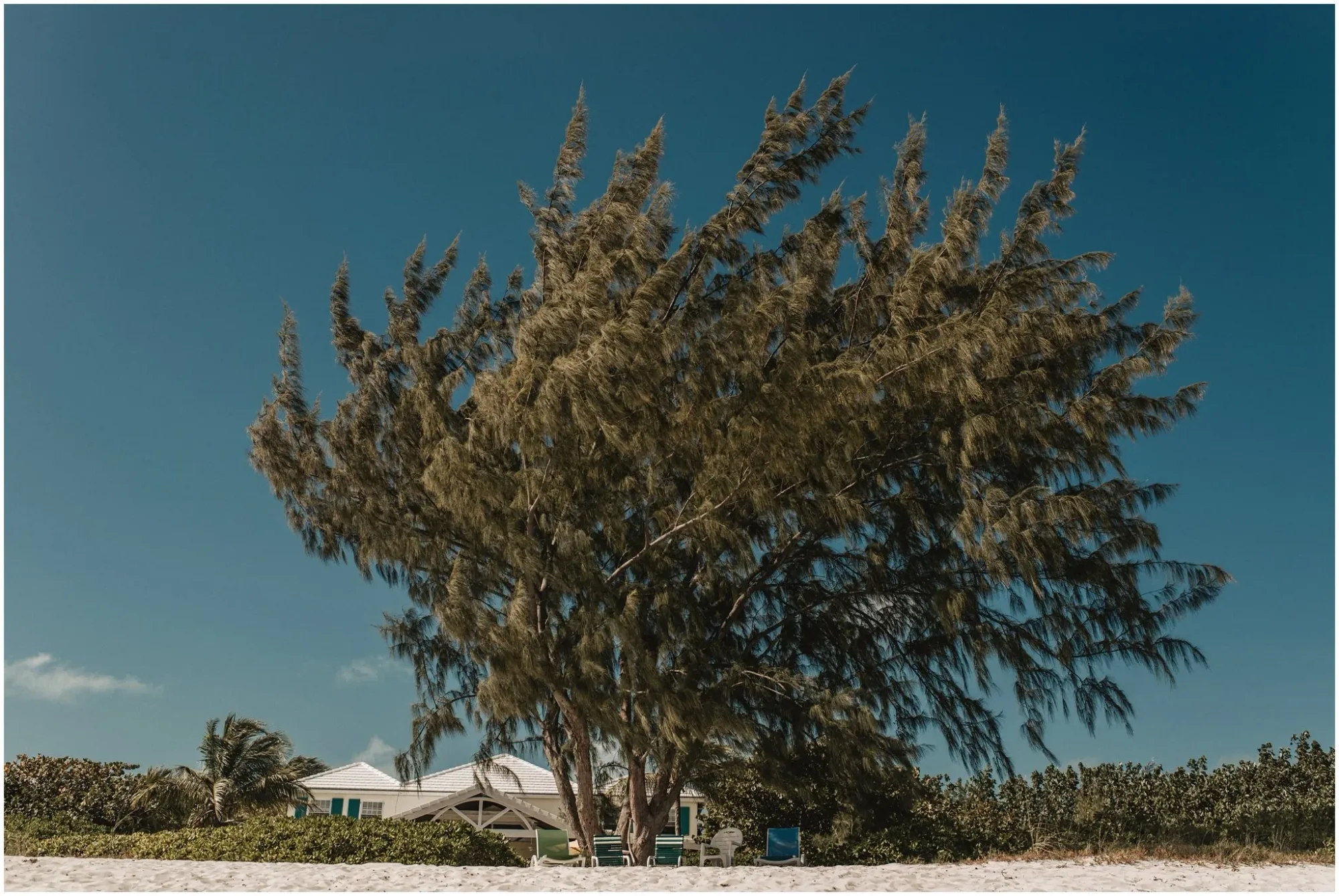 Rachel and Evan — Wedding in Turks & Caicos at The Gansevoort — 8