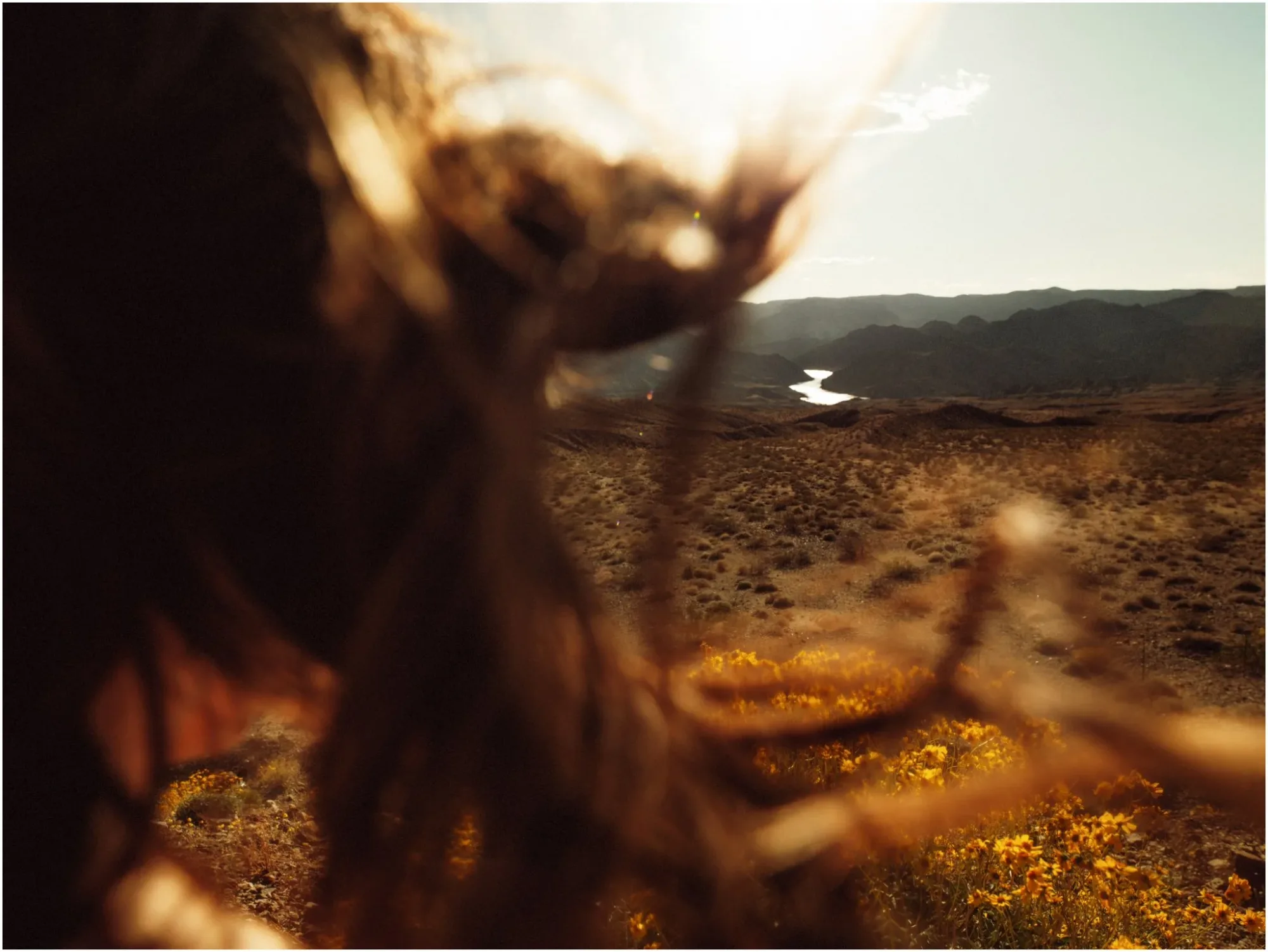 A Road Trip from Vegas to Houston — with the Hasselblad — 2