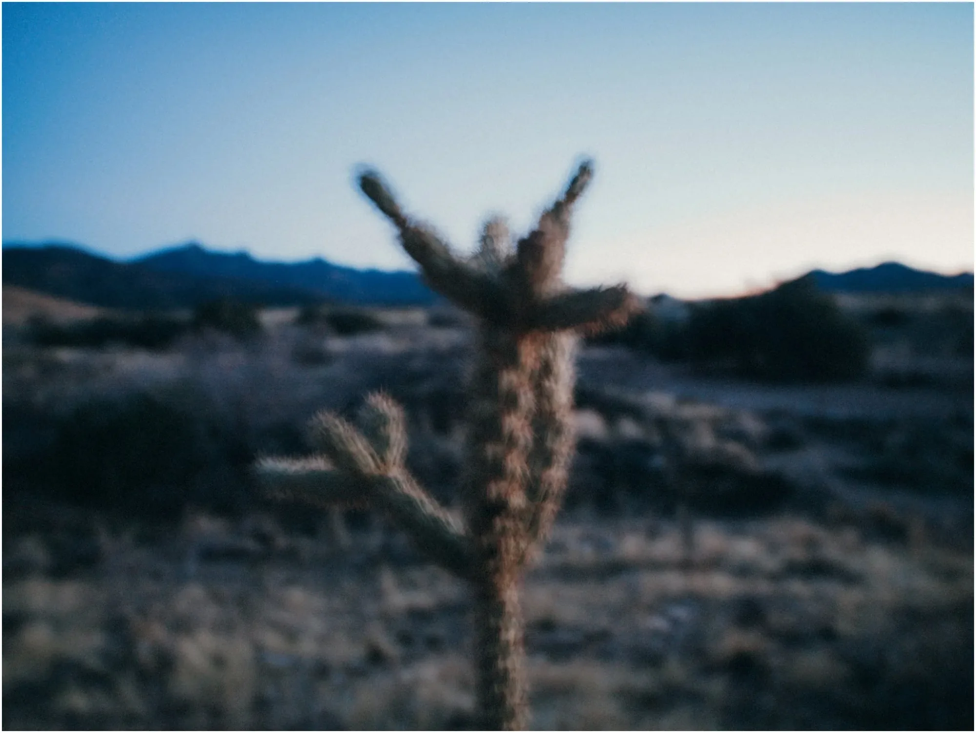 A Road Trip from Vegas to Houston — with the Hasselblad — 10