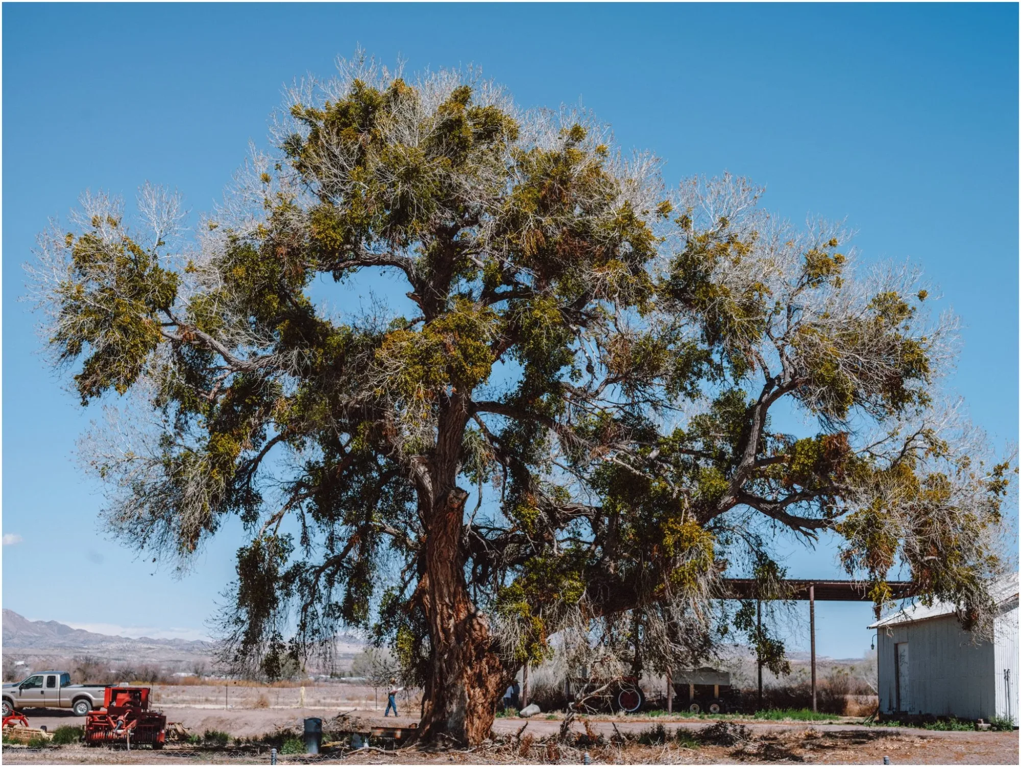 A Road Trip from Vegas to Houston — with the Hasselblad — 19