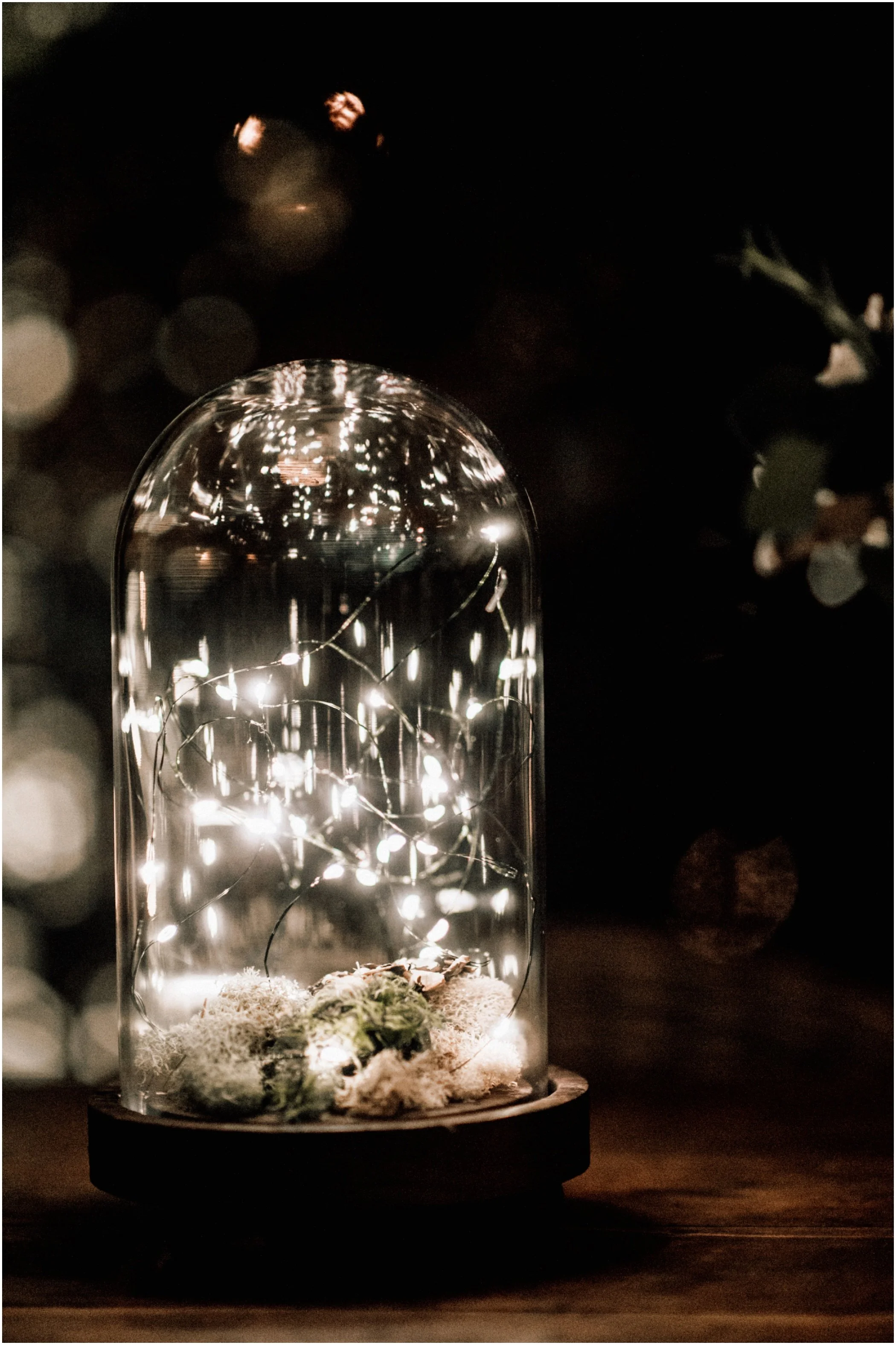 paige-joe-tiny-boxwoods-wedding-0081.jpg